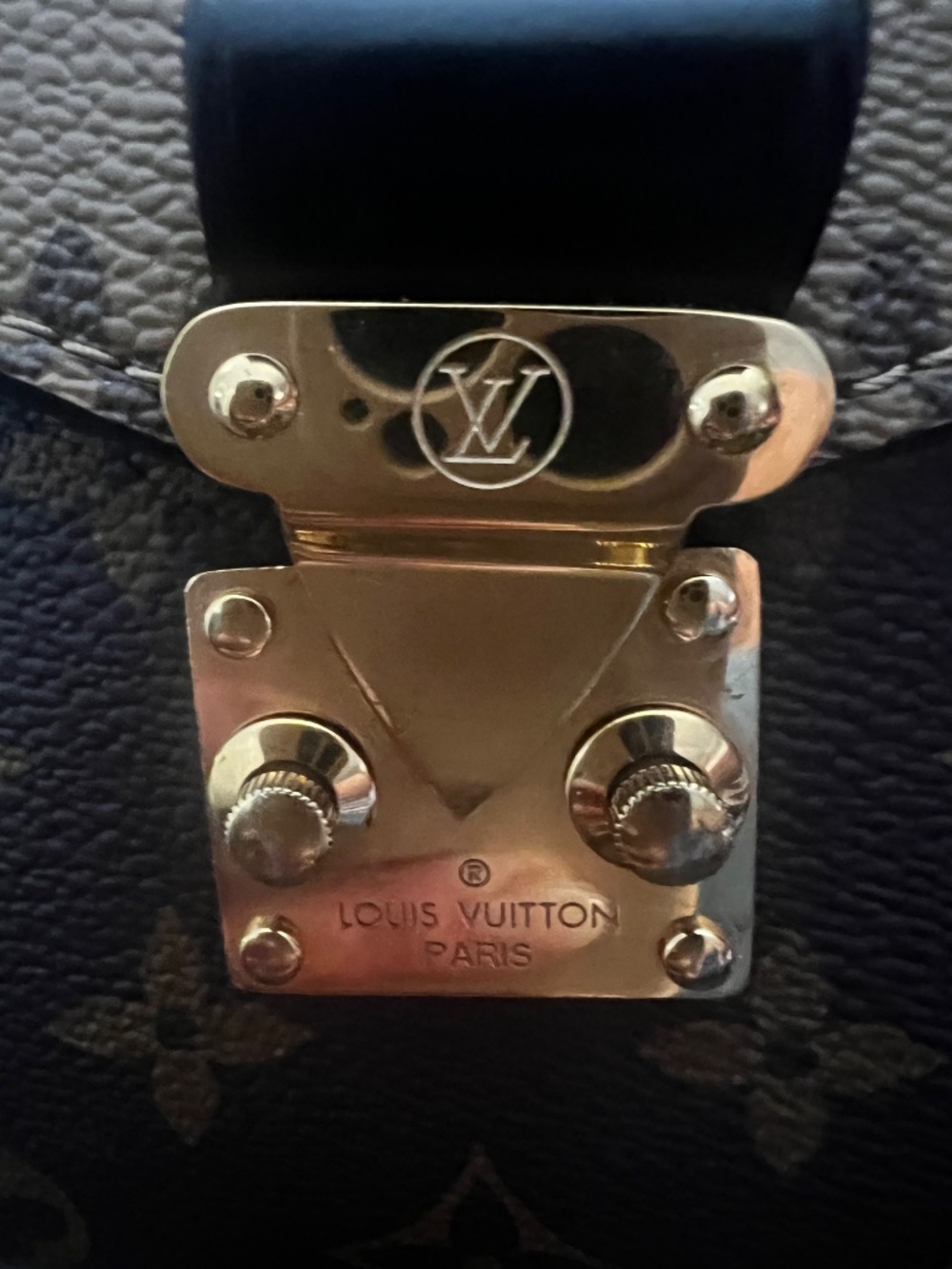 LV BAG - Picture 6 of 17